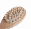 Bath, Body Massage Brush